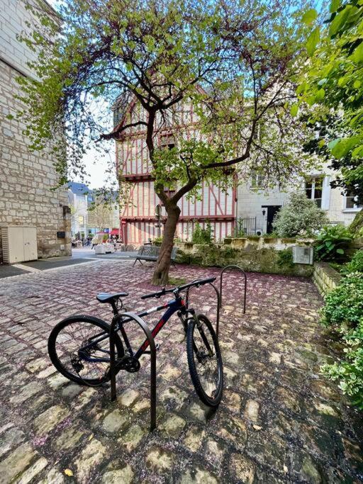 Cosy Hypercentre Place St Pierre Apartamento *